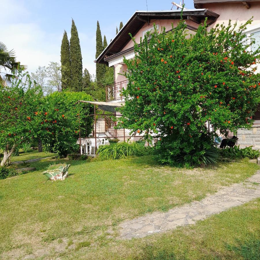 Apartma Mari Lucija Exterior foto